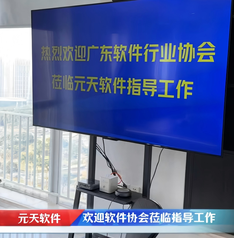 软件协会莅临元天软件指导工作